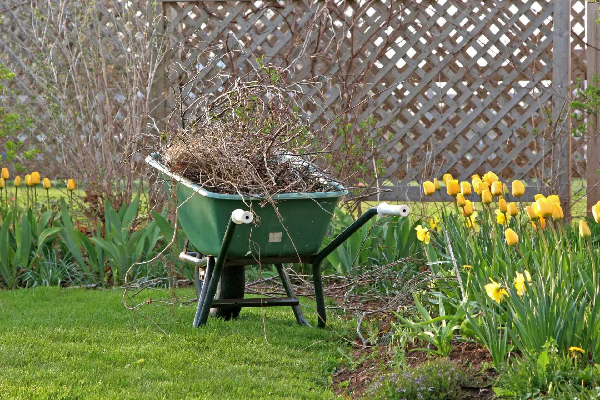 Spring cleanup services in Milwaukee by Liban Landscape