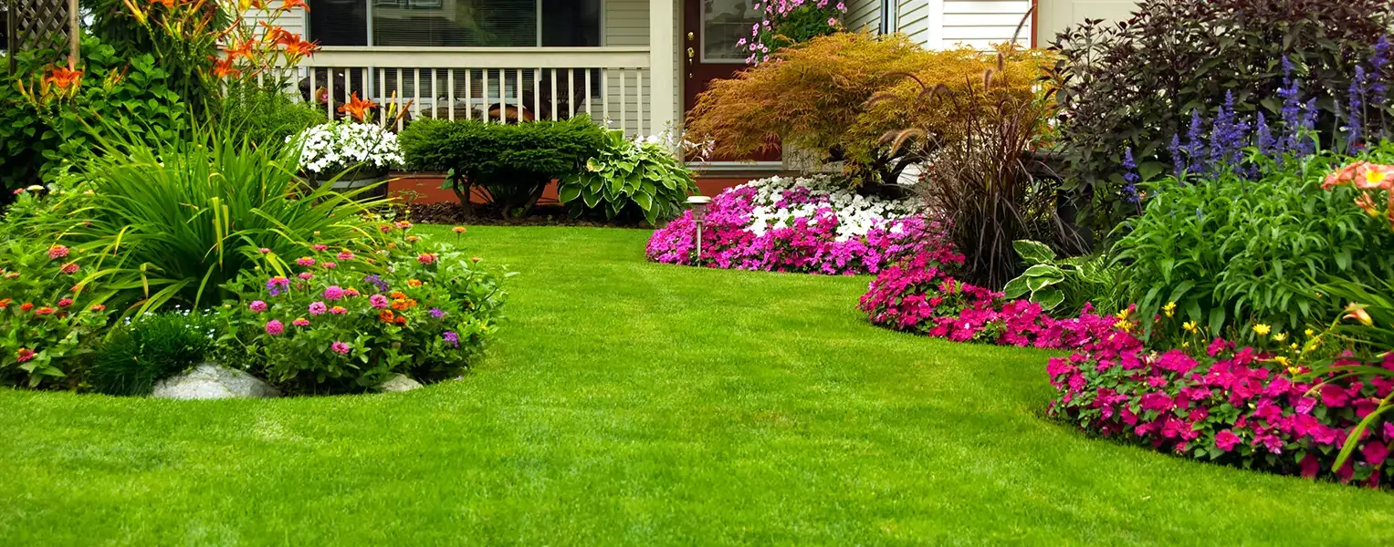 Residential landscape